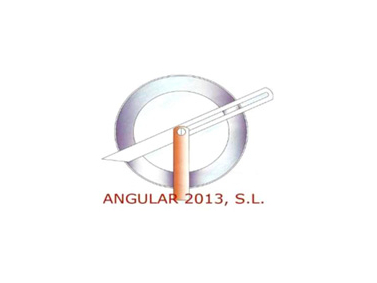 Angular 2013